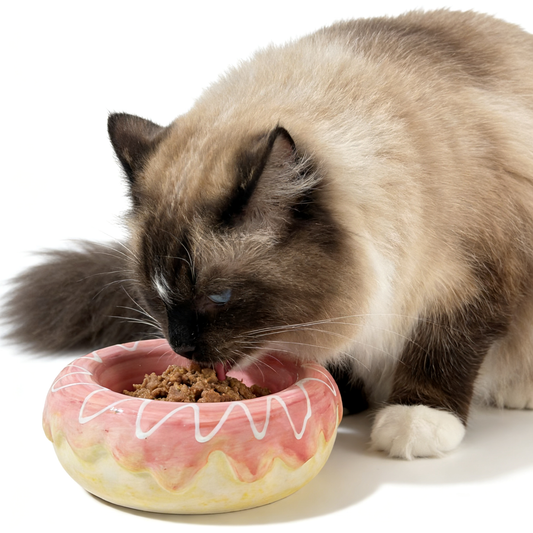 Donut Donut Strawberry- Ceramic Pet Bowl