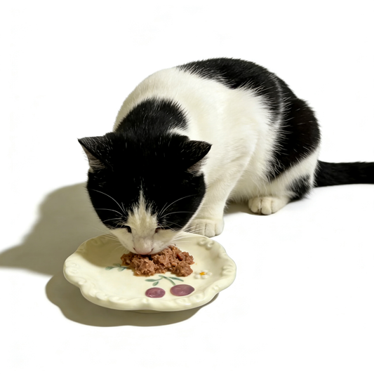 Petite Cherry Ceramic Dish