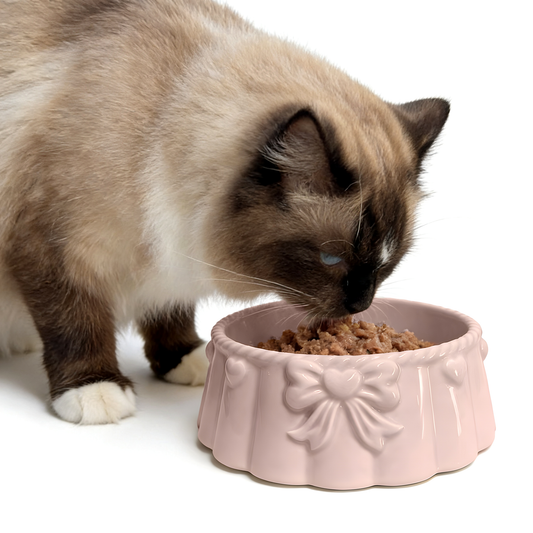 Bow-knot Pink Ceramic Pet Bowl