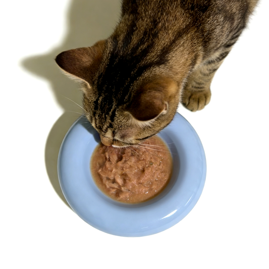 Ceramic Bagel Bowl- Blue