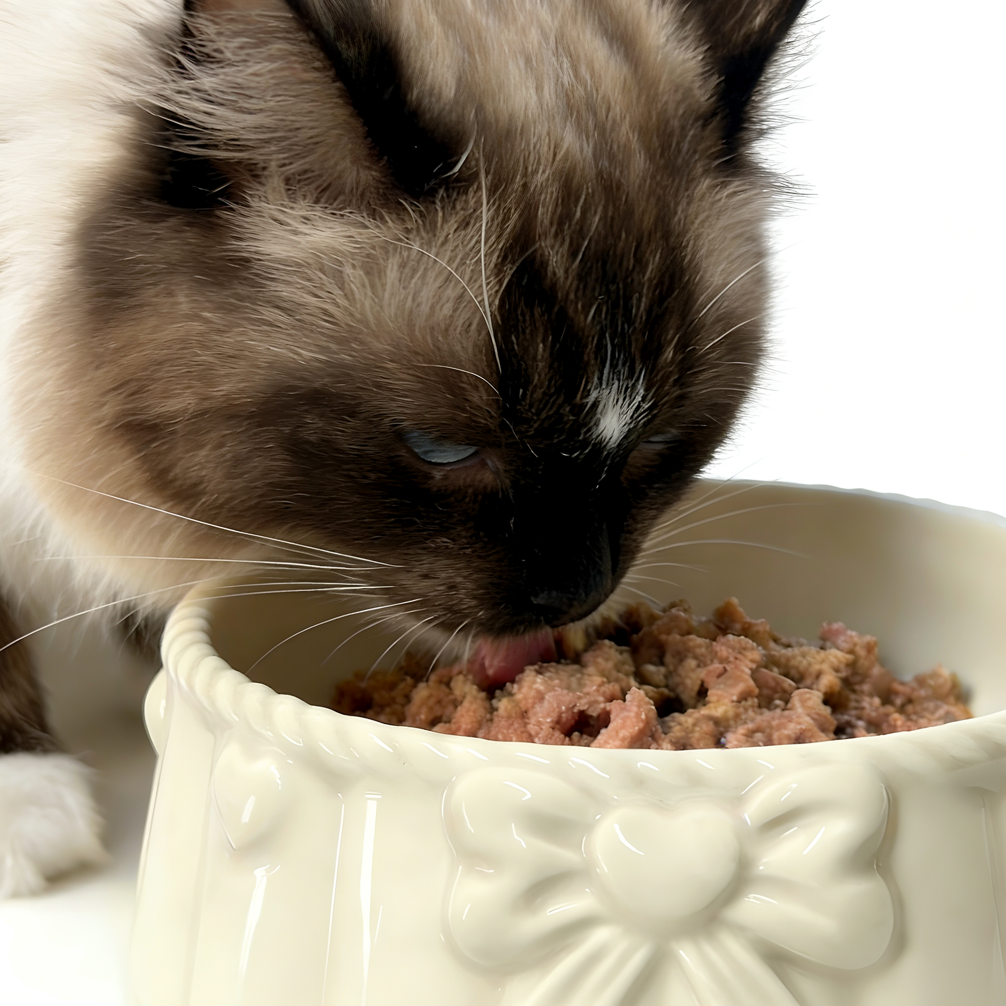 Bow-knot Yellow Ceramic Pet Bowl